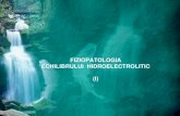 FIZIOPATOLOGIA ECHILIBRULUI …umf.alinolaru.com/an3/fiziopatologie-1/c07-ehe-1.pdf · - sinteza scăzută de ATP → scade metabolismul celular, inclusiv activitatea pompelor ...