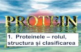 1. Proteinele – rolul, structura șibiochimia.usmf.md/wp-content/blogs.dir/152/files/sites/152/2016/09/... · Proteinele – rolul, structura. și. clasificarea. Protein. ele sunt