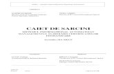 CAIET DE SARCINI - cia.md · PDF fileCuprins: Caiet de sarcini ; ... 0.1.2 Descrierea generală a Beneficiarului ... în modul stabilit de legislația în vigoare,