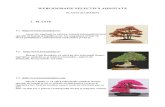 WEBLIOGRAFIE SELECTIVĂ ADNOTATĂ - bbsv.ro · PDF file1.9. Site- ul vă oferă informaţii despre plantele carnivore: specii şi îngrijire, întrebări frecvente, articole, galerie