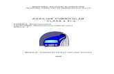 AUXILIAR CURRICULAR CLASA a XI-a - tvet.ro · PDF file• frână de disc Instalaţia de frână la care forţa de frânare se realizează prin frecarea dintre garniturile de frecare