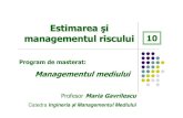 Estimarea şi managementul riscului 10 - omicron.ch.tuiasi.roomicron.ch.tuiasi.ro/~mgav/pdf/EMR/R10.pdf · managementul riscului Program de ... • evaluarea riscului asociat fiecărui