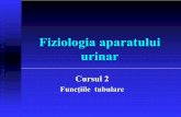 Fiziologia aparatului urinarfiziologie.umft.ro/ro/Ren-Curs2.pdf · 2004 Dr. Carmen Bunu Cu consum de energie, contra-gradient, necesit. ă. carrier Tipuri: - TA primar - TA secundar