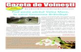 Nr. 83 Anul 8 8 pagini Pod peste pârâul Valea Mare, în ...primarievoinesti.ro/new/wp-content/uploads/2013/02/Gazeta-de... · Văzându-se singur, puiul a ieşit pe mal şi a întrebat