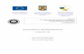 UNIUNEA EUROPEAN GUVERNUL ROMÂNIEI Inovaţie în ... · PDF fileArta de a conduce. ... Cultura organizaţională; leadership-ul – activitatea de conducere ... conducerii, teorii