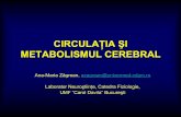 CIRCULAŢIA ŞI METABOLISMUL CEREBRAL - …neuroscience.ro/cursuri/metab.pdf · perfuzia sanguin ă. De ce avem nevoie ...