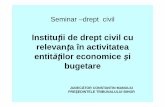 Instituţii de drept civil cu relevanţa în activitatea ... · PDF fileInstitutii de drept civil cu relevanta in activitatea entitatilor economice si bugetare • Tema: • Expertiza