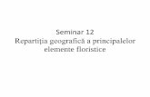 Seminar 12 Repartiţia geografică a principalelor elemente ... · PDF file• Strat ierbaceu: flora de mull (biotopuri umede) Aegopodium podagraria, Anemone nemorosa, A. Ranunculoides,