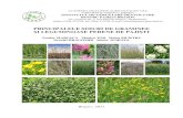 PRINCIPALELE SOIURI DE GRAMINEE ŞI · PDF fileprincipale resurse genetice ecotipuri din flora spontană, s-au dovedit a fi rezistente la ger, secetă, boli şi dăunători, cu o producţie