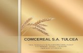 COMCEREAL S.A. TULCEA - Portal Economic, Financiar și de ... · PDF fileDESCRIEREA PRINCIPALELOR CAPACITÃŢI DE PRODUCŢIE Uscător cereale - Siloz 1 SILOZUL BAIA, situat la 80 Km