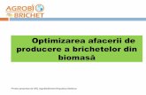 Optimizarea afacerii de producere a brichetelor din biomasăagrobiobrichet.com/images/agrobiobrichet.pdf · Paie de cereale - Paiele sunt cel mai accesibil tip de biomas ... biomasa