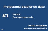#1 PL/SQL Concepte generale Adrian  · PDF filesisteme de gestiune de baze de date ... 9. utilizarea structurilor de control fundamentale ... orice platformăsau sistem de operare