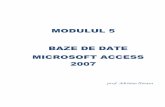 MODULUL 5 BAZE DE DATE MICROSOFT ACCESS-+Access... · M5 Baze de date Microsoft Access 2007 prof. Adriana Ilioasa 4 Tipuri de date în Access a) Tipul numeric – folosit pentru reprezentarea