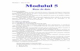 Modulul 5 – Baze de date - · PDF fileModulul 5 – Baze de date Julien-Liviu Constantinescu 305 Scopul modulului Modulul 5, Baze de date, solicită din partea cititorului înţelegerea