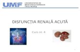 DISFUNCȚIA RENALĂ ACUTĂ - atimures.roatimures.ro/wp-content/uploads/2013/02/Curs_4_Renal-new.pdf · •IRA are o etiologie multifactorială care poate ... Tratament Obiectivele