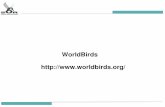 WorldBirds - monitoring.sor.romonitoring.sor.ro/Download/11_DomsaC_Ornitorama.pdf · Päsãri|e din Romania este a bazä de date accesibi|ž pe internet despre p;säri, date žtiintifice