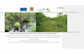 ANEXĂ -  · PDF file76 . 3 Obiectivele pentru fiecare specie/habitat ... Gafta şi Mountford 2008, respectiv corespondenţelor cu habitatele din România, Doniţă et al. 5