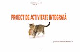 profesor :DRIMBE MONICA - timtim- · PDF file- stimularea şi educarea interesului, a dragostei copiilor pentru animale; ... - atingerea şezutului ridicarea coapsei la „orizontală”