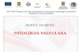 PATOLOGIA VALVULARA - ad-cor.road-cor.ro/wp-content/uploads/2015/12/15-Patologia-valvulara_medici.pdf · PATOLOGIA VALVULARA. ... spectru larg de anomalii ale aparatului suspensor