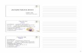 ACIZII NUCLEICI - biochimia.usmf.mdbiochimia.usmf.md/wp-content/blogs.dir/152/files/sites/152/2013/09/... · ADN Localizarea – nucleoid – procariote; nucleu, mitocondrii - eucariote