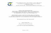 SOLUłII MODERNE PENTRU MĂSURAREA ŞI …webbut.unitbv.ro/teze/rezumate/2011/rom/MatoiAdrianMarian.pdf · 1.2.3. Senzori şi sisteme de senzori 12/ 1.2.4. Metode de ... PerturbaŃii