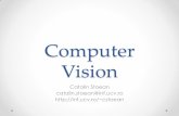 Computer Vision - Departamentul de Informaticăid.inf.ucv.ro/~cstoean/courses/cv/c1.pdfo Teme de proiect vor fi enuntate pe parcursul cursului si cuprind: ... Bibliografie 1/2 ...