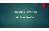 TUMORILE HEPATICE dr. Dan · PDF file · 2015-01-04mimează un hemangiom - procesul de exoveziculizare se datorează permeabilităŃii adventicei . ... - multiple cavităŃi în fagure