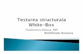 Teodorescu Raluca, MPI BitDefender de proiectare: Bazate pe specificatii (Bazate pe comportament sau Black-Box) Bazate pe structura (WhiteBazate pe structura (White- ---Box)Box) Scop: