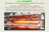 Tehnologie de ardere a biomasei prin incinerarea directa ... · ecoHORNET & Araj (motorina) AHP 400 kw ecoHORNET AHP 60 kw ecoHORNET & Alambic (motorina) Cumparati toata ... ecoHORNET