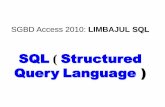 SQL Structured Query Language ) - cig.ase.ro · introducere comenzi sql ex. select all a1 from a; 6. run 7. save ( save as..) sgbd access 2010: sql ...