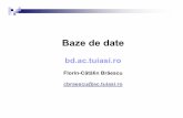 Baze de datebd.ac.tuiasi.ro/Doc/curs/Curs_01.pdf · PL/SQL T. Luers, T. Atwood, J. Gennick, Ed. Teora, 2001 Sisteme de gestiune a bazelor de date – aplicaţii Oracle I. Lungu, M.