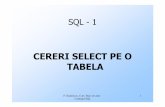 CERERI SELECT PE O TABELA - andrei.clubcisco.roandrei.clubcisco.ro/cursuri/3bd/fr/SQL1.pdf · plan de execuţie generat de server, ... Sistemul nu stochează în baza de date sau