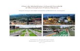 Plan de Mobilitate Urbană Durabilă al Municipiului Piatra ... · Plan de Mobilitate Urbană Durabilă al ... Romeo Ene Inginer Transporturi ... (stânga sus); numărul de firme