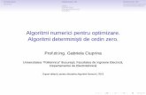 Algoritmi numerici pentru optimizare. Algoritmi ...an.lmn.pub.ro/slides2016/13_optimizare_alg_det_ord_zero.pdf · În problemele de optimizare din efortul de calcul se exprima în
