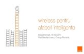 wireless pentru afaceri inteligente simplu de folosit calitate mobilitate avantaj competitiv convergenta securitate solutii de integrare a spatiului privat cu mediul de lucru ... viziunea