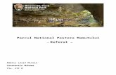 roteaprofu.files.wordpress.com€¦  · Web view, platou situat la o altitudine de 205 m și cuprinde porțiuni din Peștera Mamutului, sistemul de peșteri cu cea mai lungă peșteră