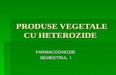 [PPT]PowerPoint CI+4...Web viewPRODUSE VEGETALE CU HETEROZIDE FARMACOGNOZIE SEMESTRUL I Generalitƒ£i despre heterozide Heterozidele sunt substan£e care rezultƒ prin condensarea