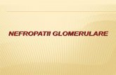 NEFROPATII GLOMERULARE - medclub2.ucoz.romedclub2.ucoz.ro/_sf/1/108_Nefropatii_glom.pdf · Pentru bolile glomerulare care nu prezintă leziuni ... faţă de gravitatea disfuncției