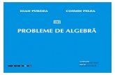 IOAN PURDEA COSMIN PELEA - math.uaic.roleoreanu/depozit/PROBLEME DE ALGEBRA Purdea...Prefa¸t˘a Aceast˘a culegere de probleme urmeaz˘a structura cursului ,,Algebra” de Ioan Pur-dea