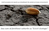 Sau cum să fertilizezi culturile cu ”D.A.P. Ecologic” · Din fosforul din sol plantele iau 1-5%, ... alte microorganisme, mulțistimulențibiologici activi pentru plante, vitamine,