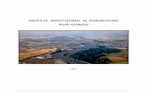 PROFILUL INVESTITIONAL AL EUROREGIUNII … fertil, ideal pentru agricultura bio, resurse ale subsolului (petrol, gaze, materiale de construcţii), dar şi culoarul Dunării, unde se