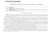 DISTOCIILE CANALULUI OSOS - Biblioteca Științifică …library.usmf.md/old/downloads/ebooks/Paladi_Obstetric… ·  · 2013-05-27OBSTETRICA PATOLOGICA 479 Fig. 18.5. Bazin general