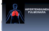 Hipertensiunea pulmonaracumparaonline.do.am/download/pneumolo… · PPT file · Web view · 2016-11-25Boala veno-ocluziva si hemangiomatoza capilara pulmonara Boli rare, implicate