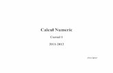 CN - curs 01 - 2012immobilier-montreal.net/upload/documents/292859.pdf · Săptămânânile 1-7 şi 9-15 ... eII Cccc ij n ... Uuu u V vv v ...