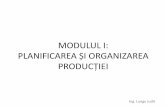 Modulul I: Planificarea și organizarea producției · 3. În raport cu modul de obținere a produselor finite din materii prime: ... sincronizat, pe baza unui model unic de funcționare,