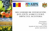 ȘI PLĂȚI ÎN AGRICULTURĂ - aipa.gov.mdaipa.gov.md/sites/default/files/Raport de activitate al Agenției... · Ocuparea fortei de munca in sectorul agrar (mii oameni) Grupele de