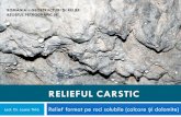 RELIEFUL CARSTIC - old.unibuc.roold.unibuc.ro/prof/tirla_m_l/docs/2016/ian/11_18_27_514_Relieful... · Relieful carstic Se dezvoltă în roci solubile, în primul rând pe calcare,