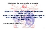 MORFOLOGIA SISTEMULUI NERVOS VEGETATIV.anatomiaomului.usmf.md/wp-content/blogs.dir/68/files/... ·  · 2018-02-171 morfologia sistemului nervos vegetativ. particularitĂȚile de