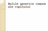 Interventia precoce in bolile geneticework.xentra.ro/cursuri-amg/ANUL IV/Semestrul I... · PPT file · Web view2015-01-22 · Bolile genetice comune ale copilului Sindromul X fragil