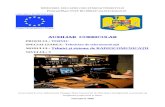 Auxiliar Didactic - Centrul Național de Dezvoltare a ...tvet.ro/Anexe/4.Anexe/Aux_Phare/Aux_2005/Electric/Tehnici... · Web view- să lucrez ca tehnician-aparatură de bord întrun